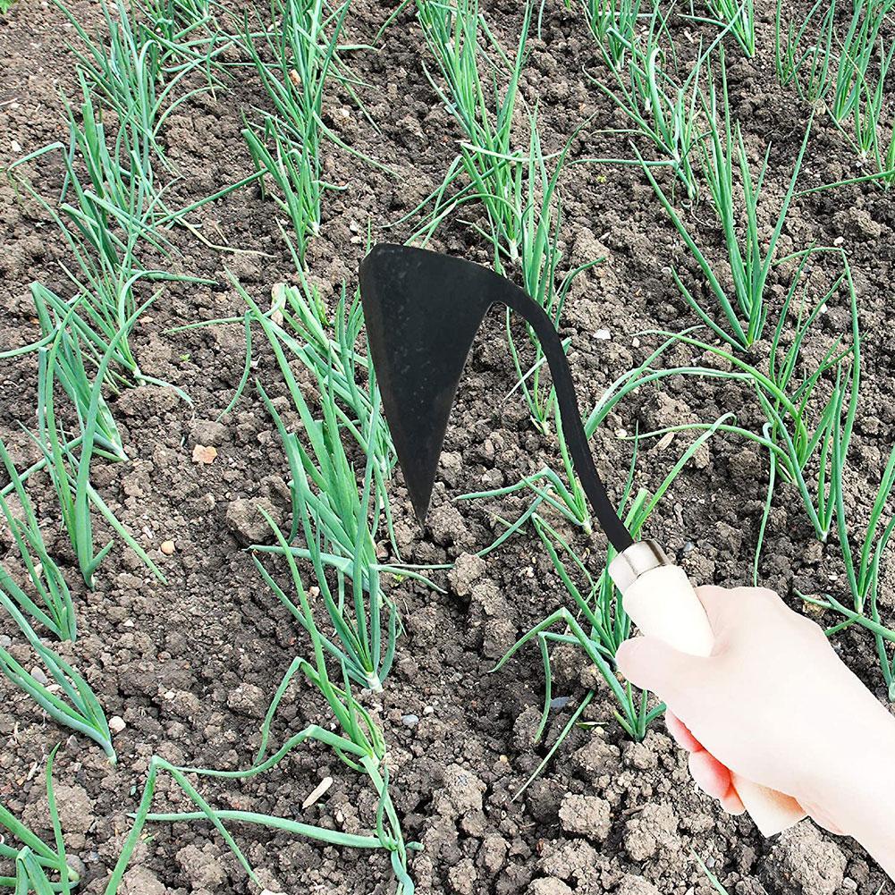 Alat Pertanian Cangkul Segitig - Agriculture Farming Vegetables ulasan dan harga