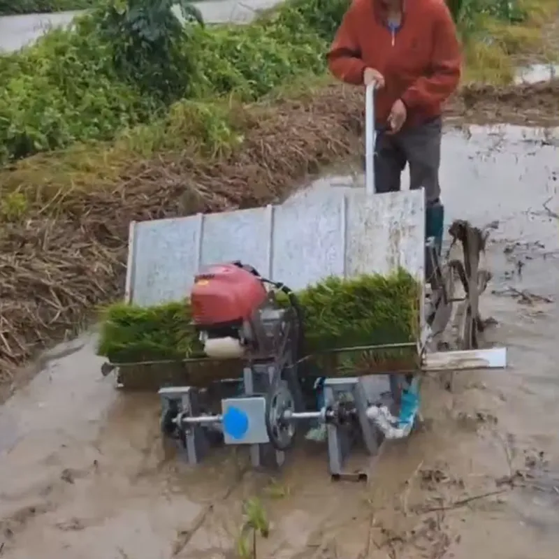 Mesin Tanam Padi Manual 4 Bari - Agriculture Farming Rice ulasan dan harga